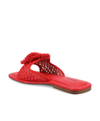 The Kiwi Pom - Red Openweave