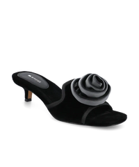 The Kiwi Kitten Flower - Black Velvet