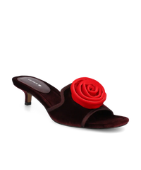 The Kiwi Kitten Flower - Burgundy Velvet